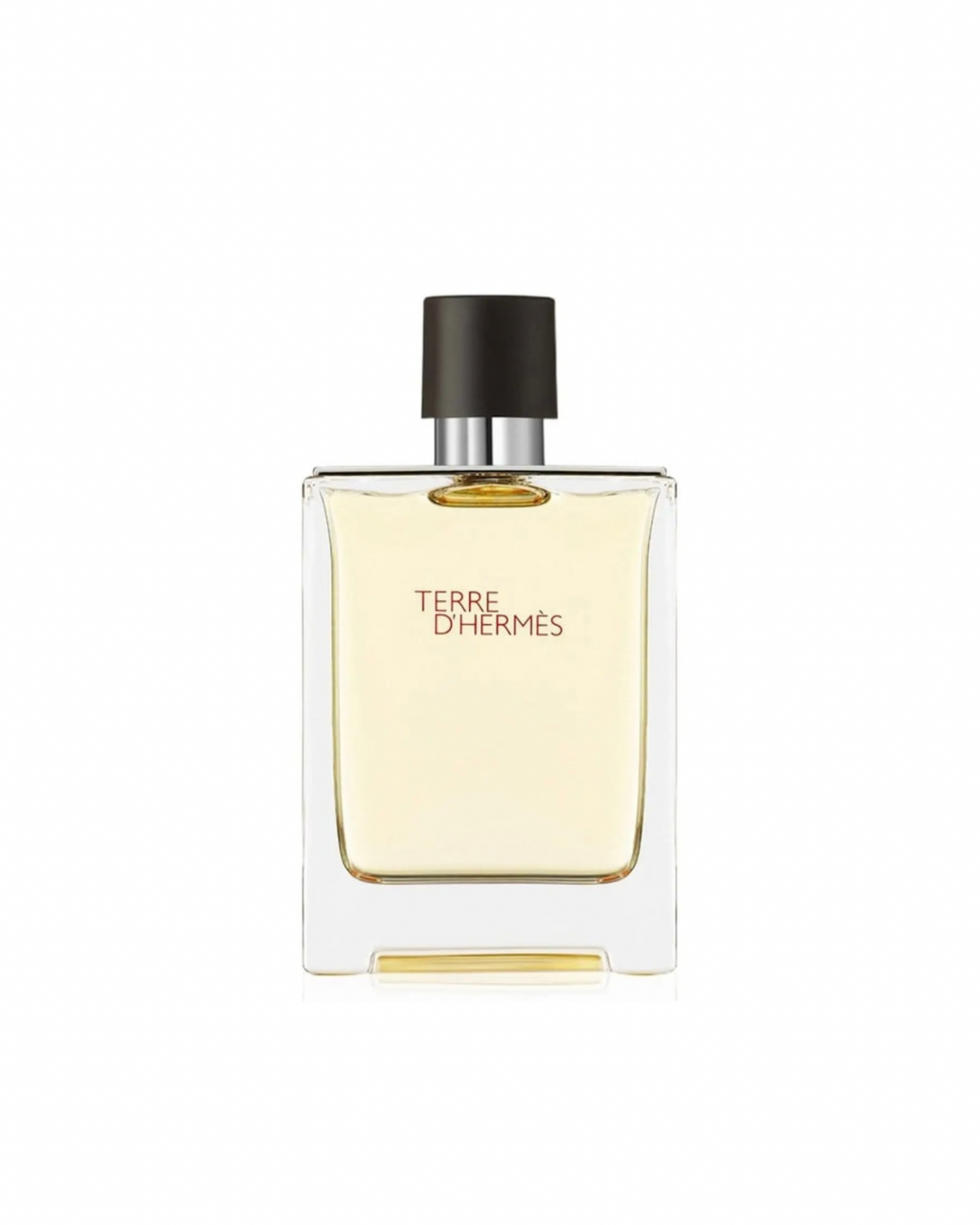 Terre D'Hermes Eau de Toilette