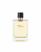 Terre D'Hermes Eau de Toilette