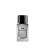 Mr. Burberry Eau de Toilette
